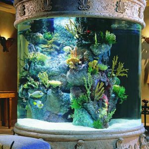 Aquarium Stands